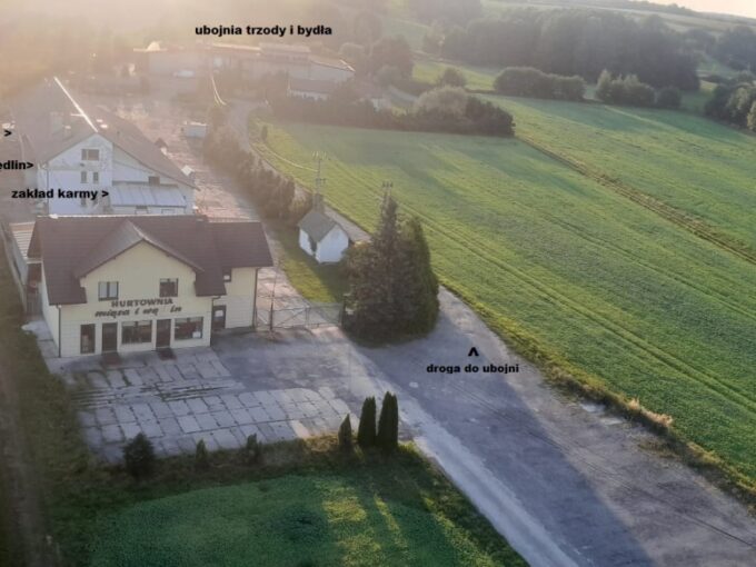 Syndyk sprzeda przedsiębiorstwo upadłego