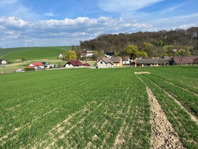 Sprzedam Dom i socjalny budynek