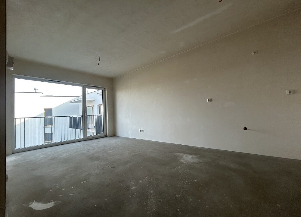 234769_3