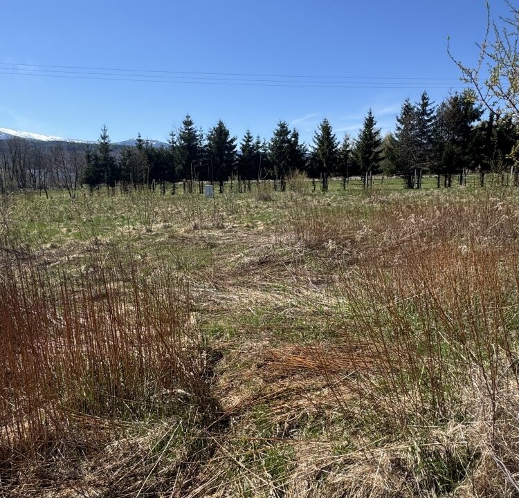 235132_3