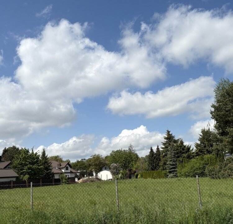 235470_3.jpg