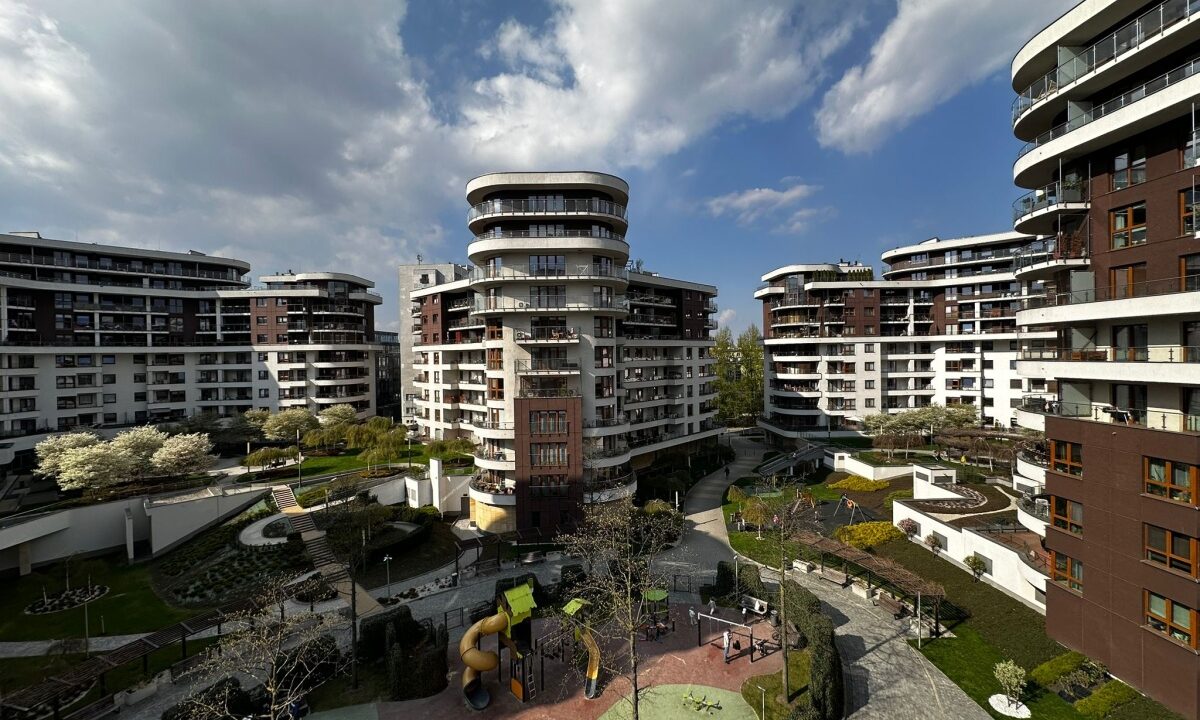236036_3.jpg