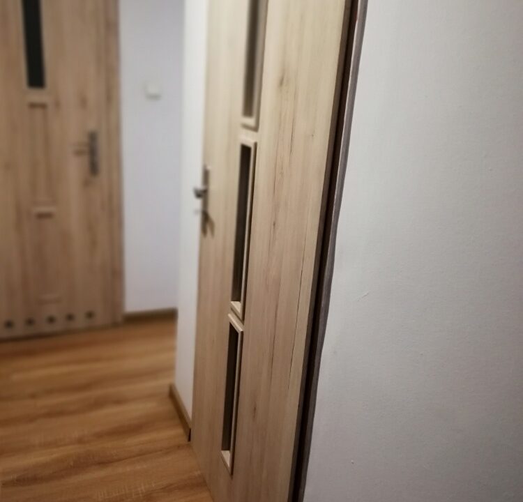 236095_3.jpg