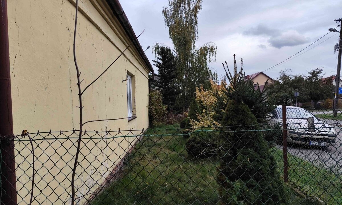 237154_3.jpg