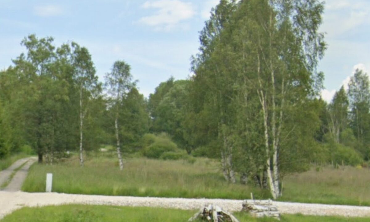 237614_3.jpg