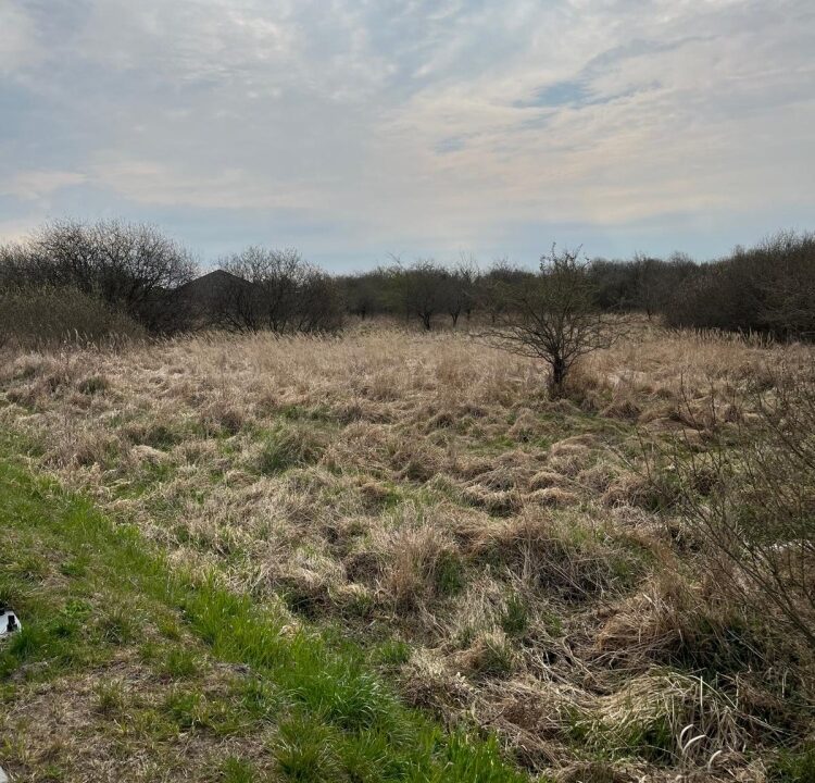 238479_3