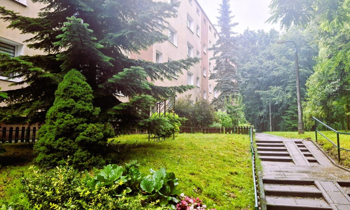 241713_3.jpg