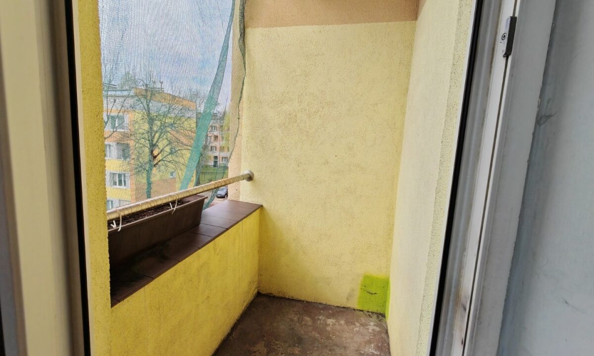 231651_3