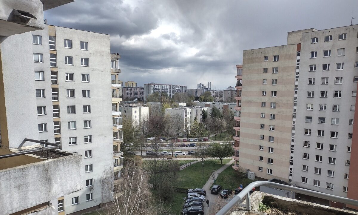 239119_3