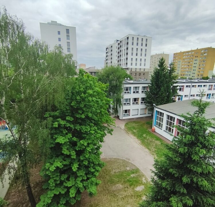 245146_3