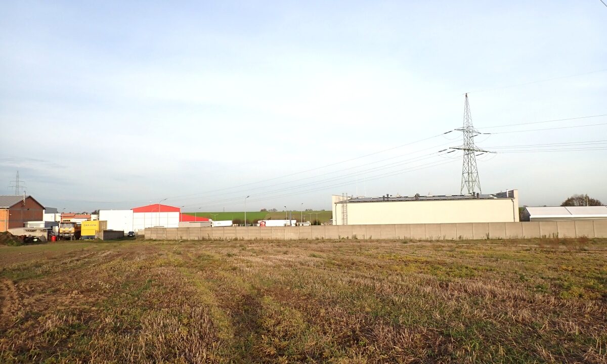 222862_3.jpg