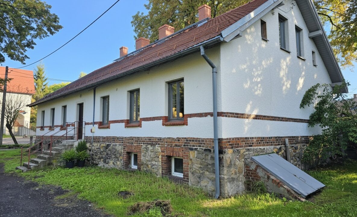 239007_3.jpg