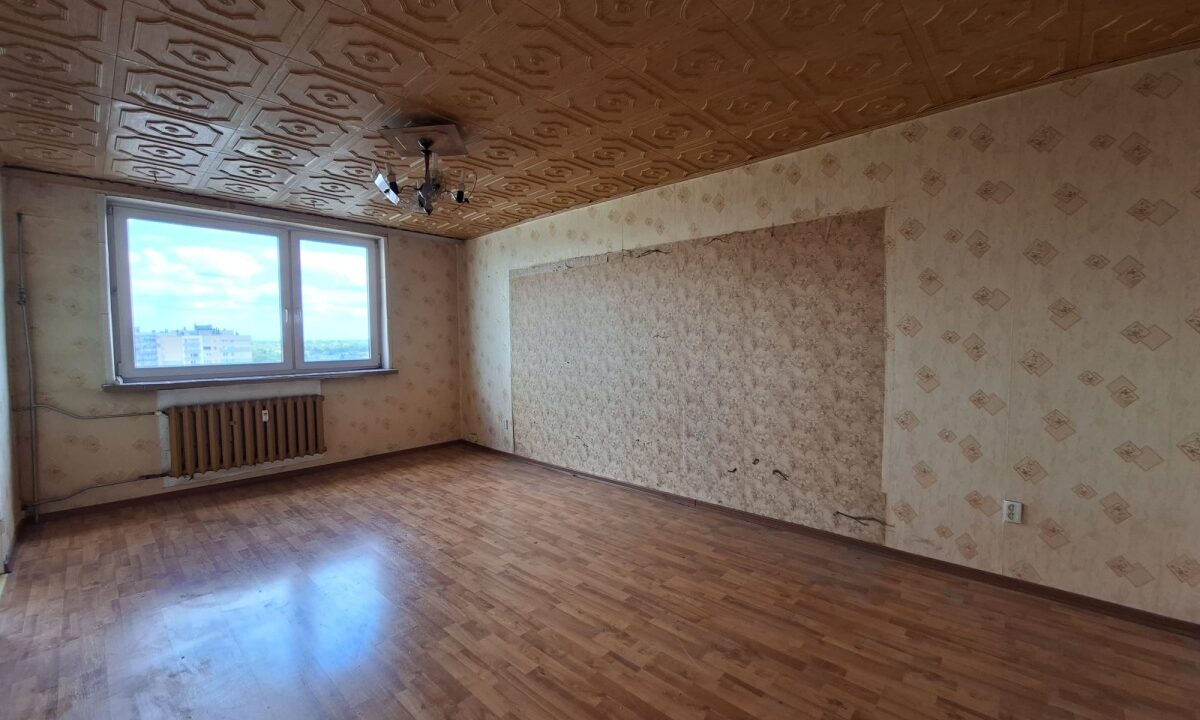 243673_3.jpg