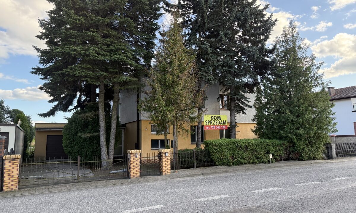 247617_3.jpg