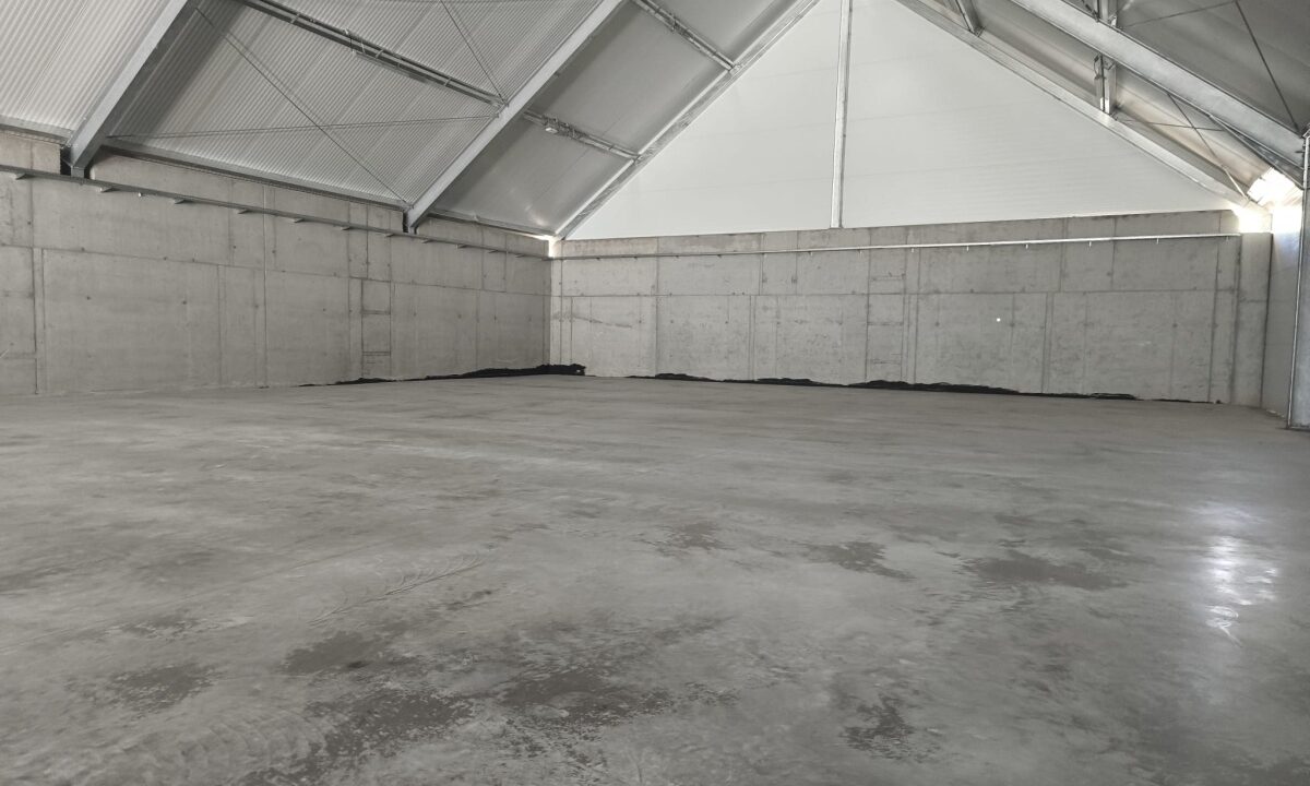 247808_3