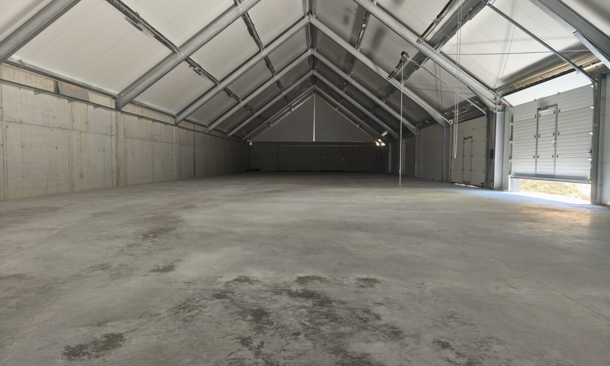 247810_3.jpg