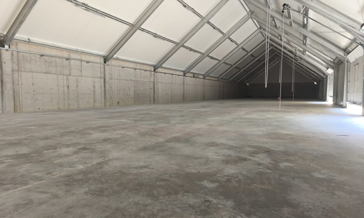 247811_3