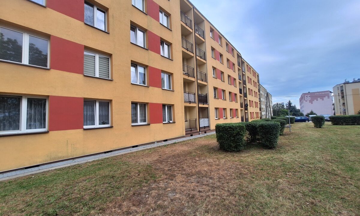 248519_3.jpg
