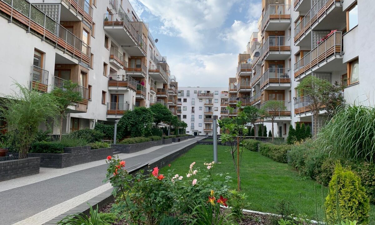 248988_3