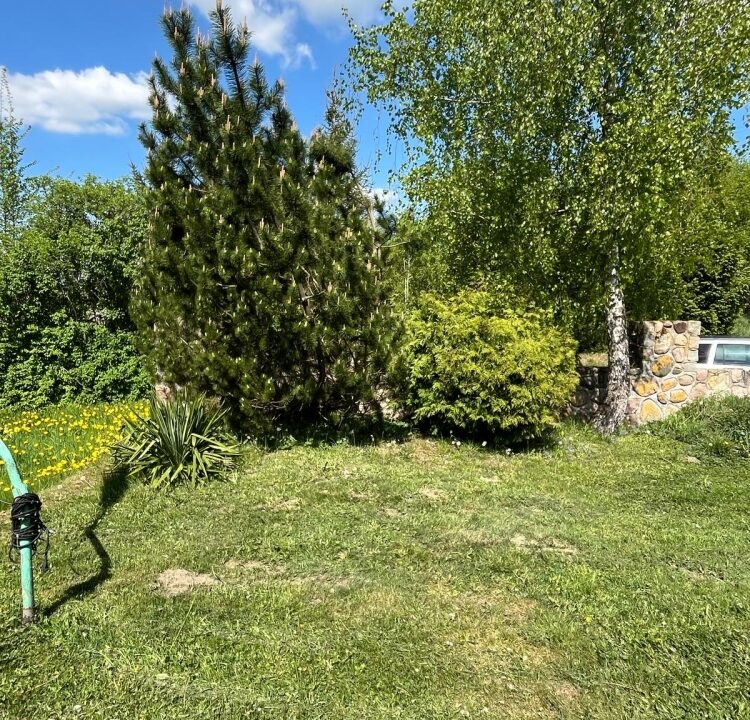 225950_3