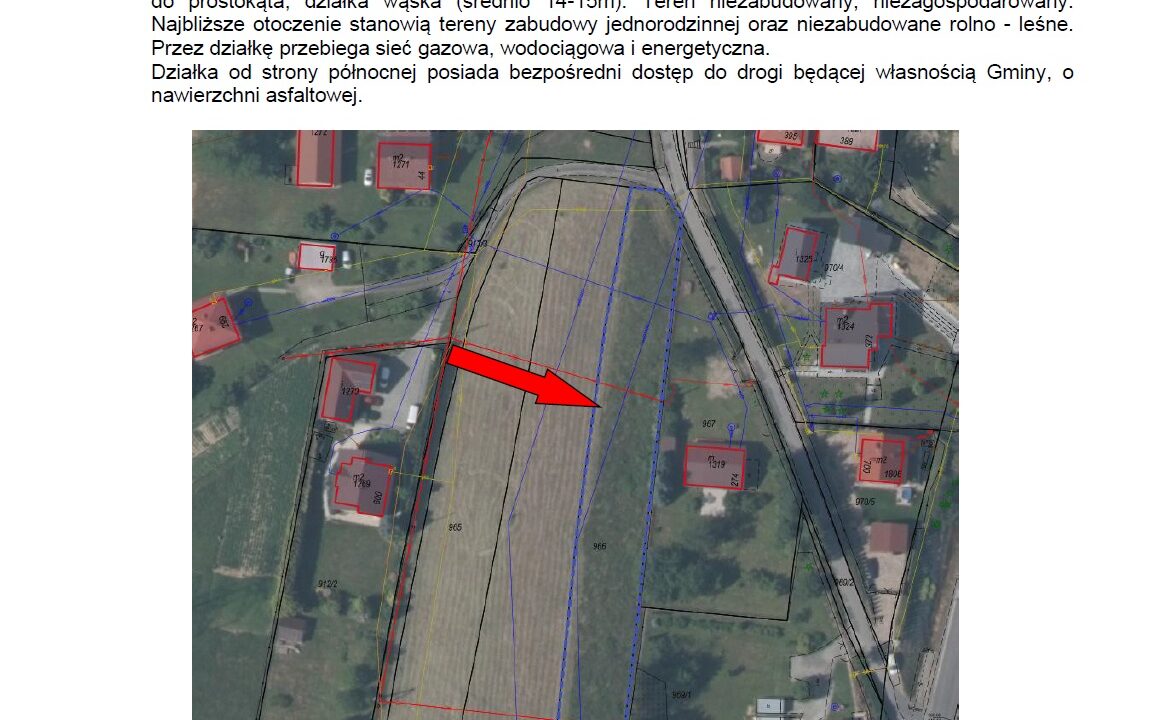 226434_3.jpg