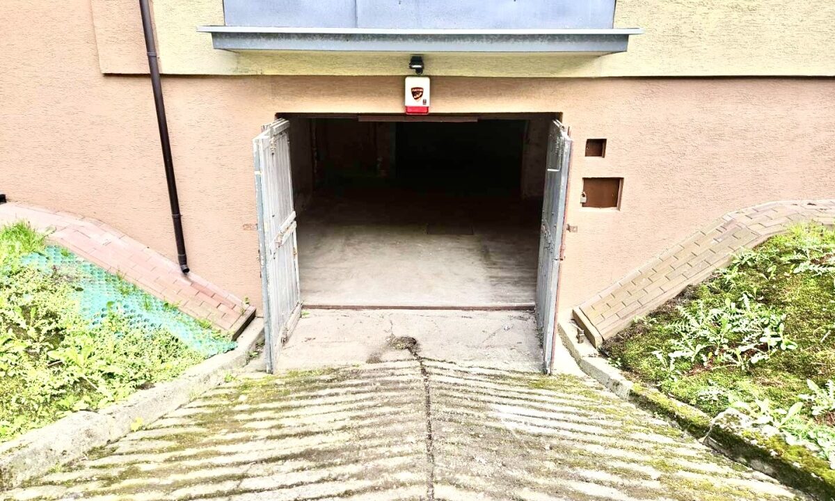 236962_3