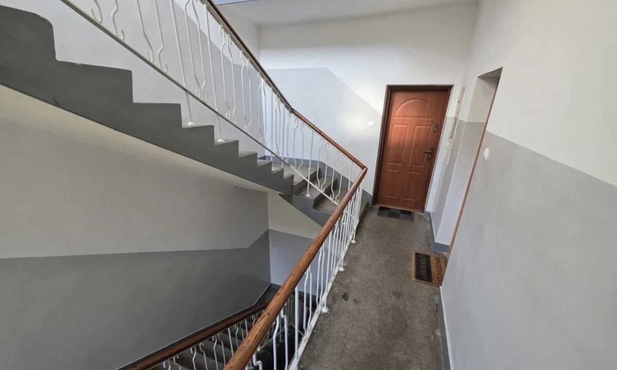 251554_3