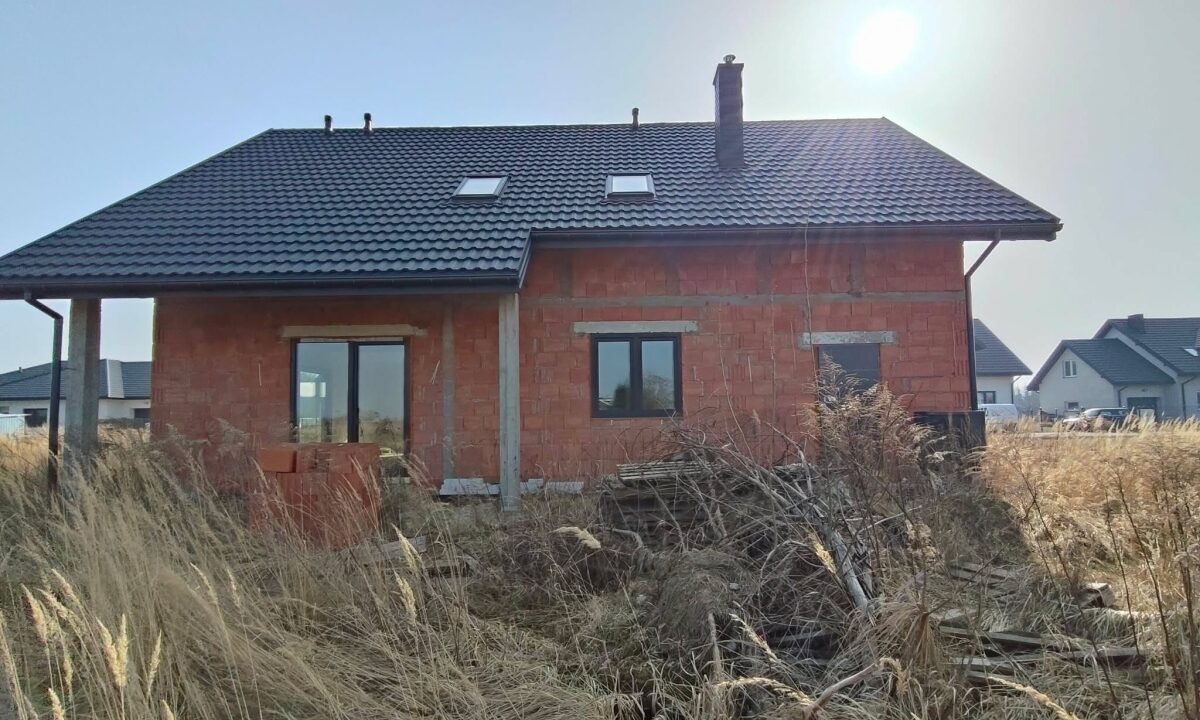 251631_3