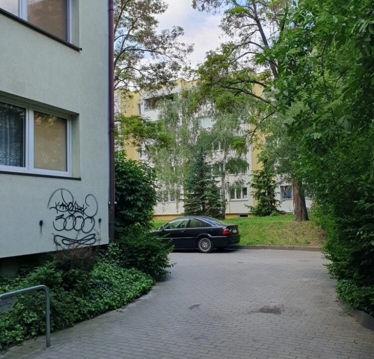 252130_3.jpg