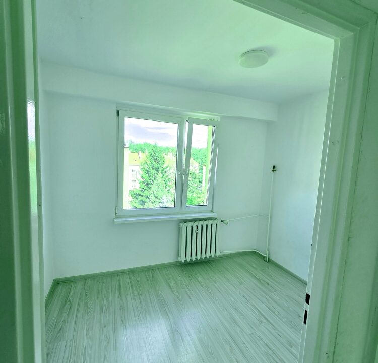 223216_3.jpg