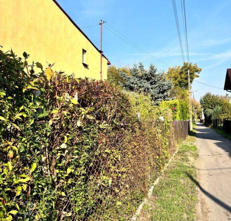 255142_3