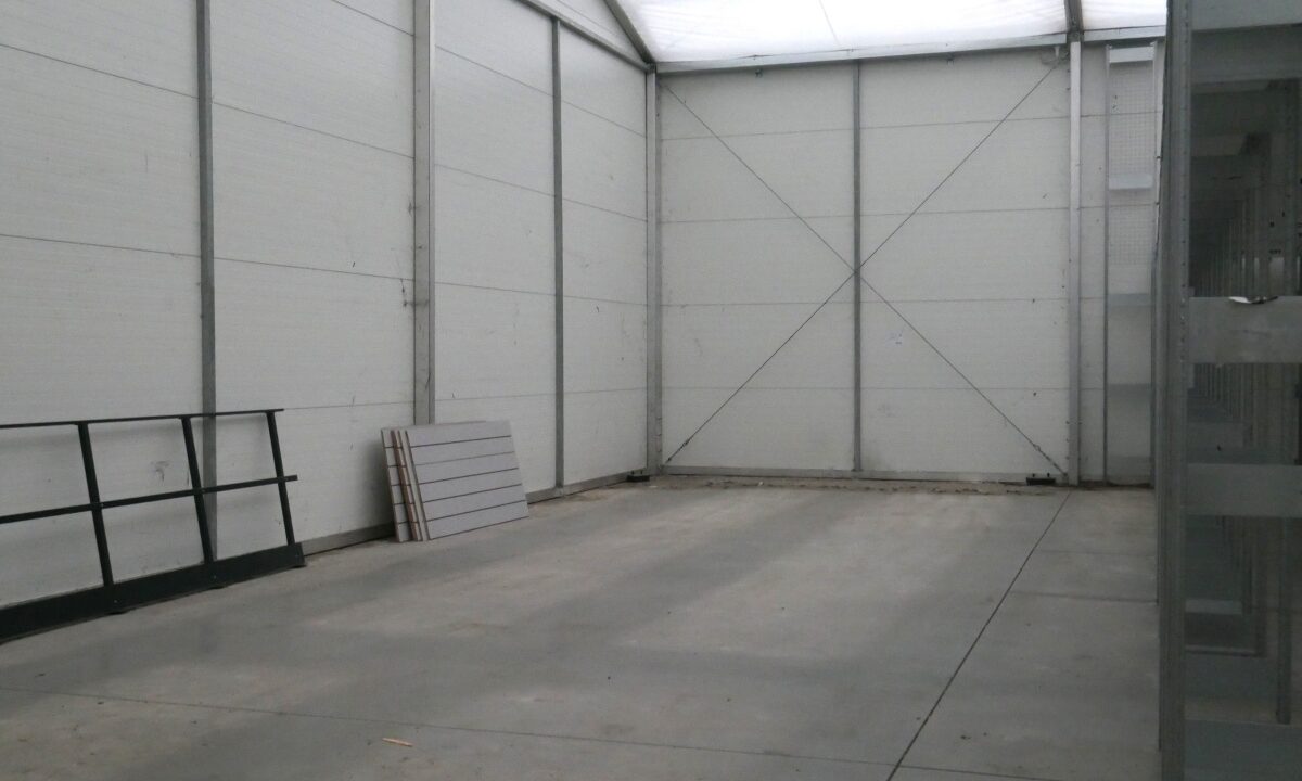 255453_3