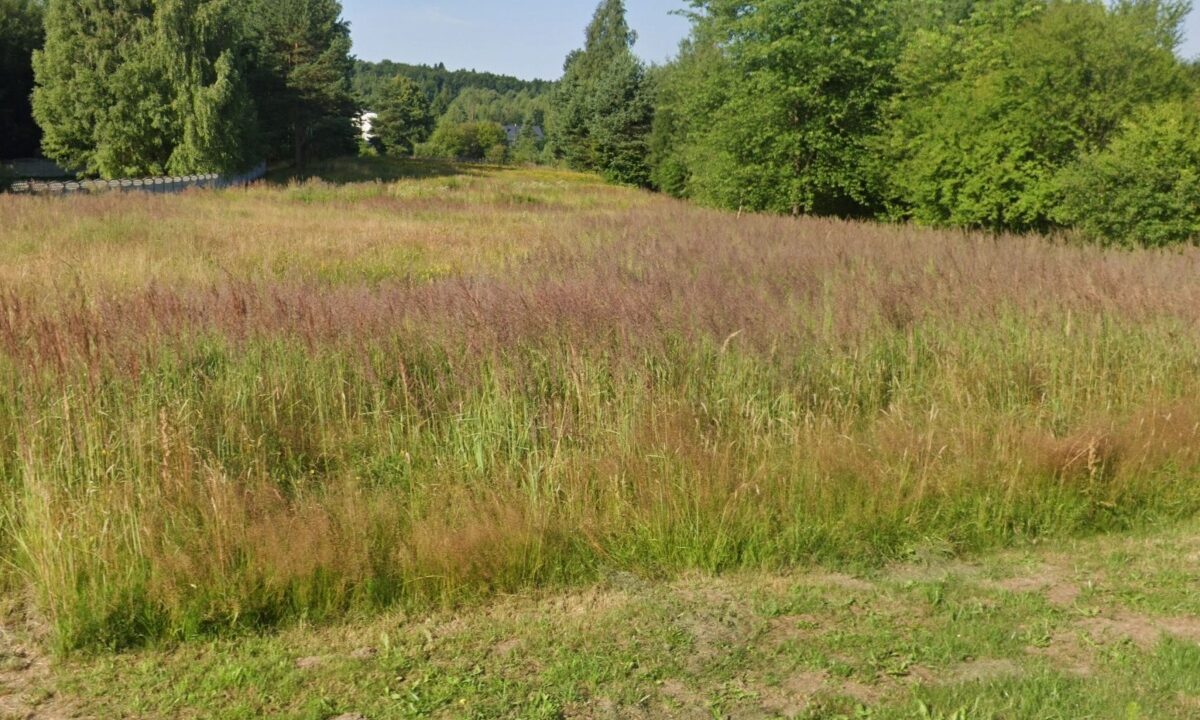 255863_3.jpg