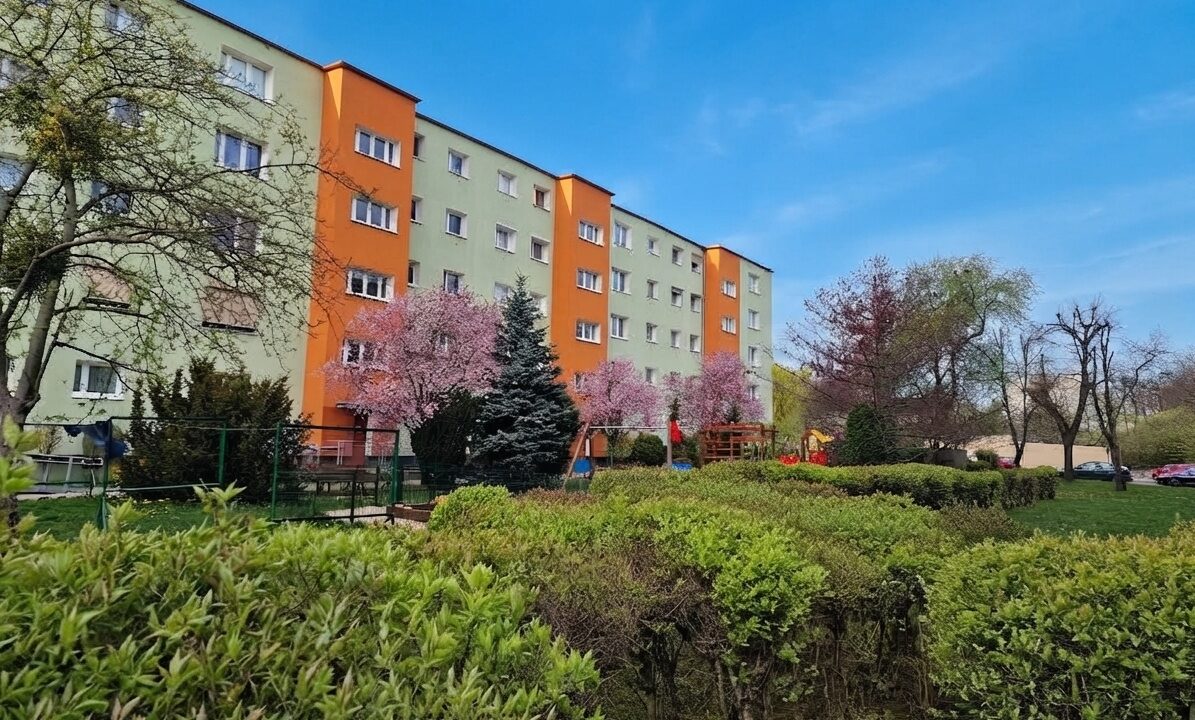 256500_3