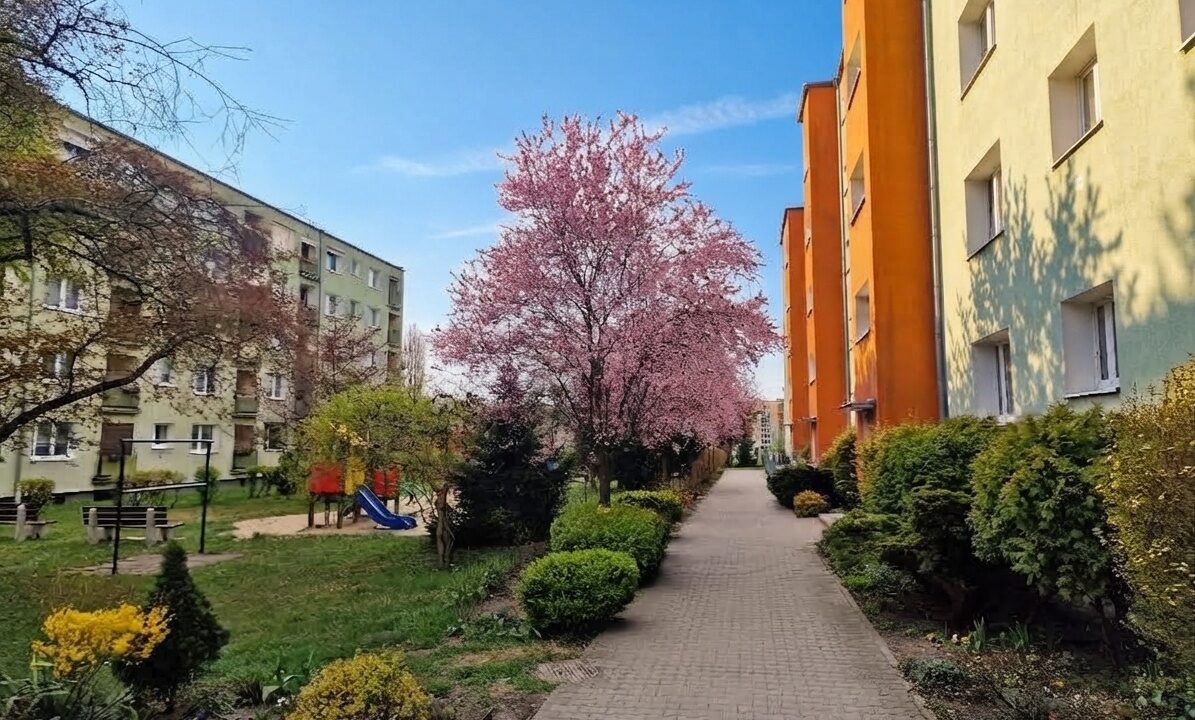 256505_3