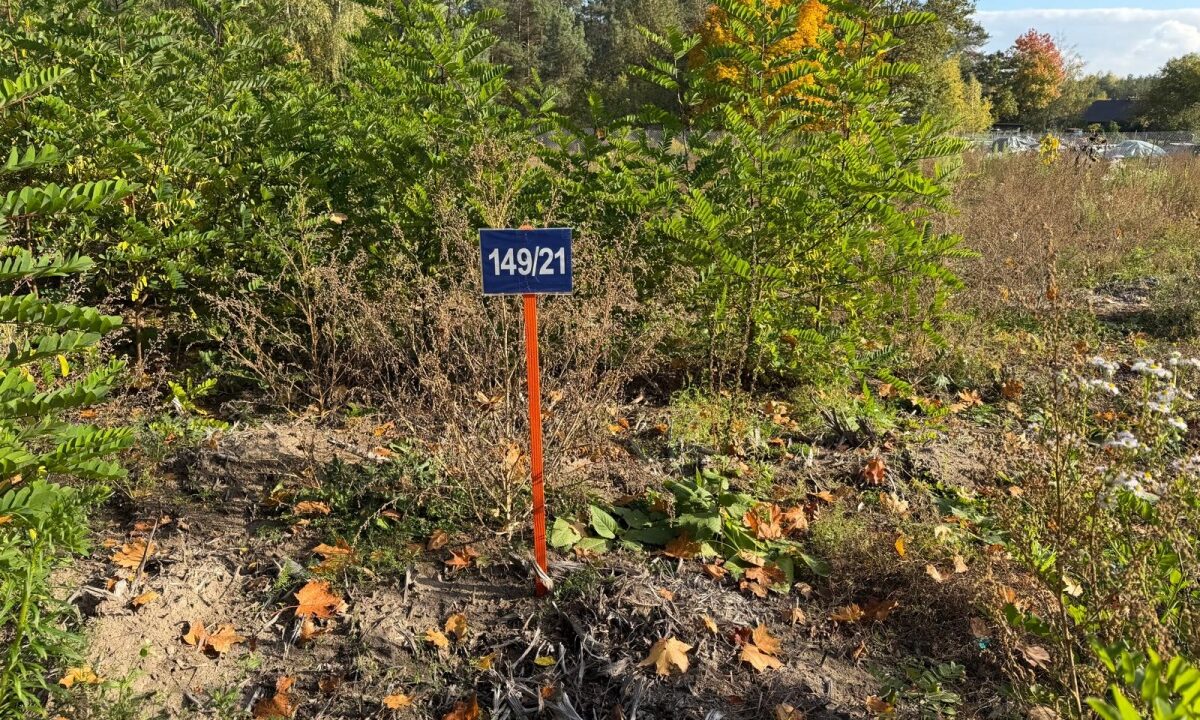 256663_3
