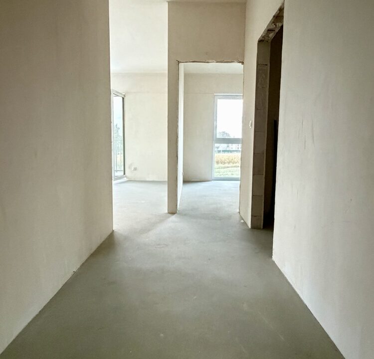257335_3