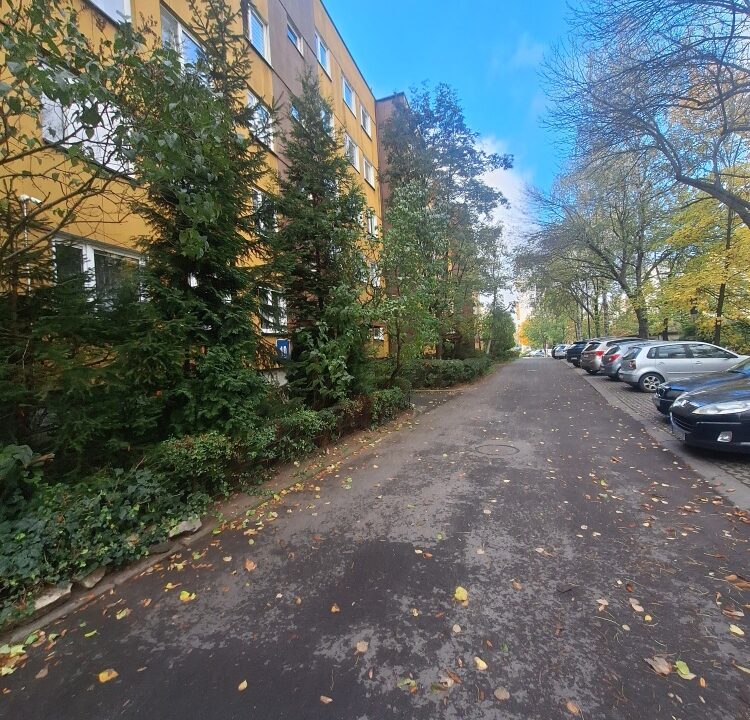257499_3.jpg