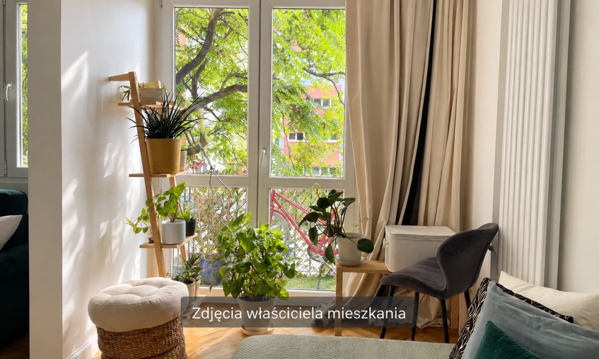 257643_3.jpg